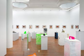 Contemporary art exhibition Dan Arps Fiona Clark Dan Arps  Fiona Clark at Lett Thomas Karangahape Road New Zealand