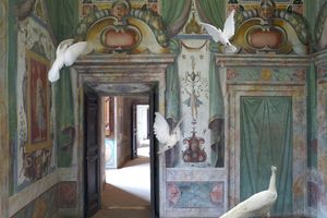 Karen Knorr