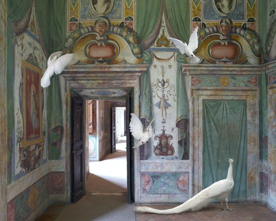 Immaculate Conception Villa DEste by Karen Knorr contemporary artwork Photography