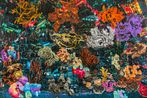 Thasnai Sethaseree contemporary artist