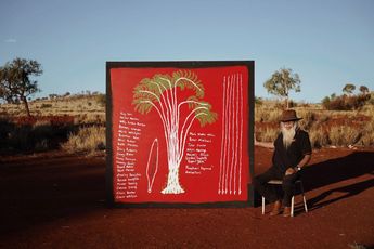 Contemporary art exhibition Frank Young Kulata Wanampi Tjukurpa - Spear Watersnake Story at Cassandra Bird Sydney Australia