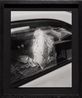 Untitled Car Window Wellington New Zealand by Harry Culy contemporary artwork Photography