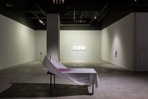 Joyce Ho