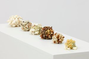 Ani ONeill