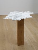Disappearing Bodies of Water Aral Sea by Maya Lin contemporary artwork sculpture