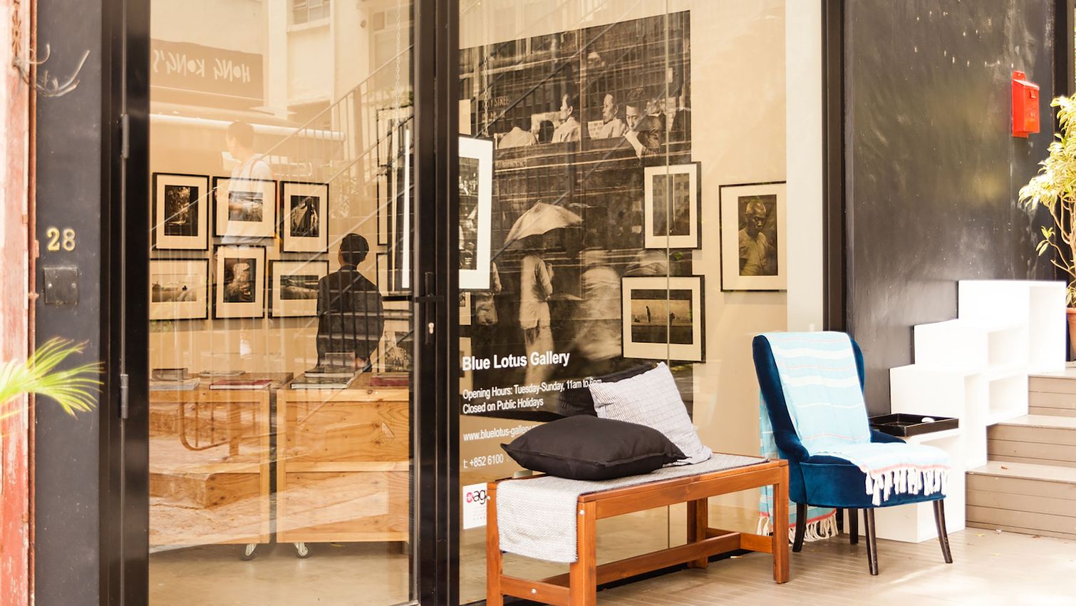 Blue Lotus Gallery