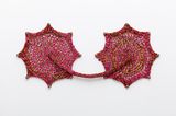 Vibra Olhos Fricabra by Ernesto Neto contemporary artwork sculpture