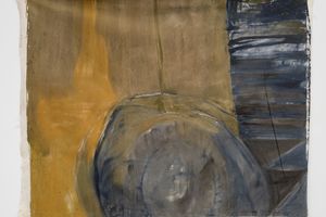 Vivian Suter