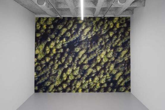 Dark Romance wall print by Ran Zhang contemporary artwork Print