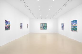 Contemporary art exhibition David Allan Peters David Allan Peters at Miles McEnery Gallery 520 West 21st Street New York United States