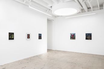 Contemporary art exhibition Ryan Driscoll Sigil at Anat Ebgi Mid Wilshire United States