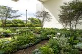 Heterotopia Garden by Shu Yuan Wu  Slow Geng contemporary artwork installation mixed media