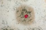 Untitled from the series umido by Cao Guimaraes contemporary artwork photography