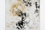 Karin Sander contemporary artist