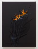 Untitled by Martin Basher contemporary artwork painting