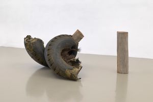 Robert Rauschenberg