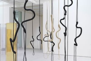 Leonor Antunes