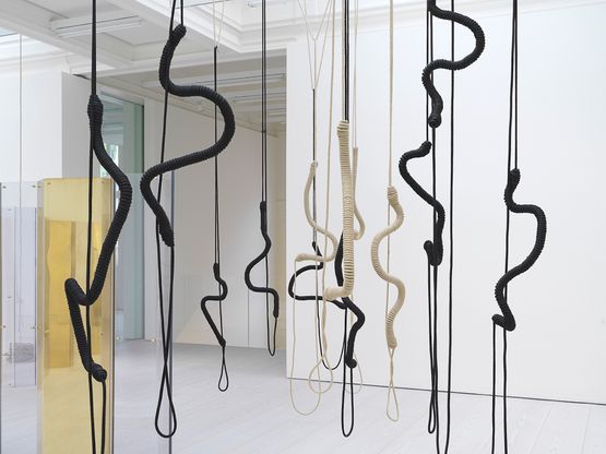 Alterated Knot by Leonor Antunes contemporary artwork Installation