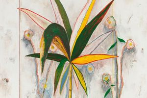 Harold Ancart