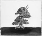 Bonsai Series III - I  III - I by Charwei Tsai contemporary artwork painting