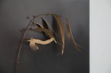 The Leaf Shelter by Lee Jo-mei contemporary artwork drawing