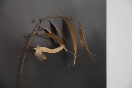 The Leaf Shelter by Lee Jo-mei contemporary artwork Drawing