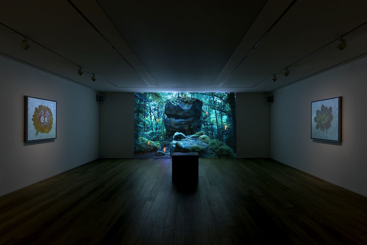 Laurent Grasso