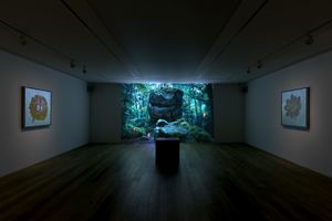 Laurent Grasso