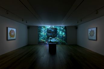 Contemporary art exhibition Laurent Grasso ANIMA at Perrotin Seoul South Korea