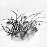 Imitating Floral Painting Rock and Orchid by Xu Wei Ming Dynasty by Chen Chun-Hao contemporary artwork installation sculpture