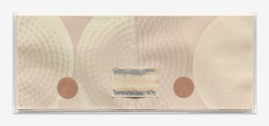 Mesoderm You are already III by Lotus L. Kang contemporary artwork Mixed Media
