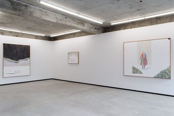 Contemporary art exhibition Alan Ibell A New Mountain at Jhana Millers Wellington New Zealand