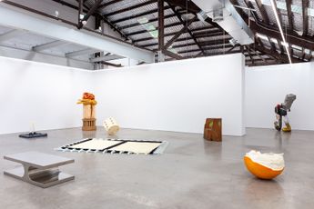 Contemporary art exhibition Group Exhibition A Procession of Things at 1301SW Sydney Australia