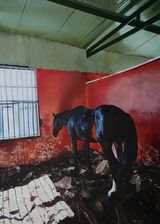 Fault No. 2 by Ma Wenting contemporary artwork painting