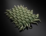 Viper Weave 4 by Malene Hartmann Rasmussen contemporary artwork