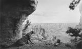 Mountain Lion by Hiroshi Sugimoto contemporary artwork photography