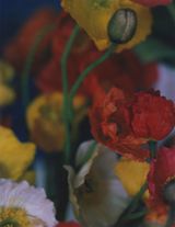 Emotion Training 4 by Rala Choi contemporary artwork photography