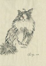 Cat by Yang Hui-ching contemporary artwork drawing