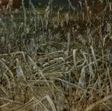 A Heap 8 by An Gyungsu contemporary artwork painting
