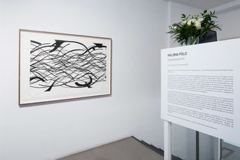 Contemporary art exhibition Paloma Polo Superposicion at Sabrina Amrani Madera 23 Madrid Spain