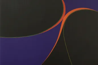 Contemporary art exhibition Virginia Jaramillo Principle Of Equivalence at Museum of Contemporary Art Chicago United States