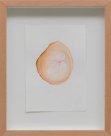 seed x by Yasam Sasmazer contemporary artwork painting works on paper