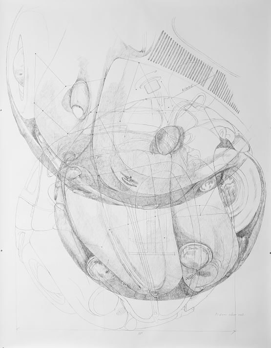 Beetle Sphere - Study 1 by Ichwan Noor contemporary artwork Works on Paper