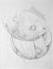 Beetle Sphere - Study 1 by Ichwan Noor contemporary artwork Works on Paper