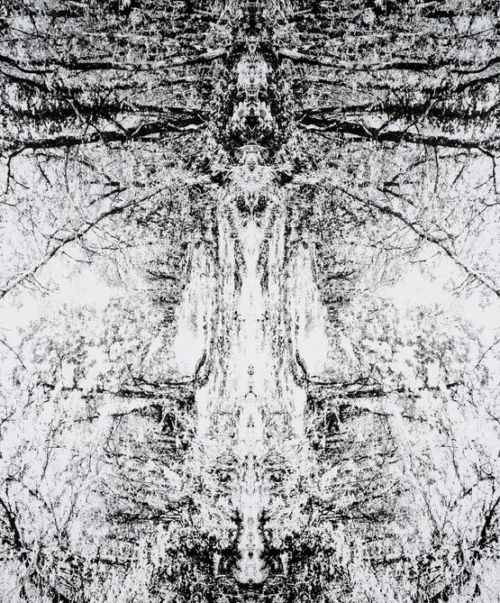 I talk to the winds by Timo Nasseri contemporary artwork Works on Paper