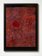 Observations from the Critical Zone 2 by Anne Noble contemporary artwork print