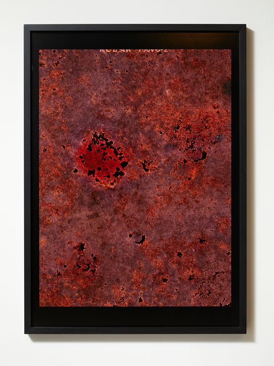 Observations from the Critical Zone 2 by Anne Noble contemporary artwork Print