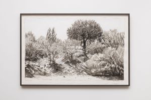 David Claerbout