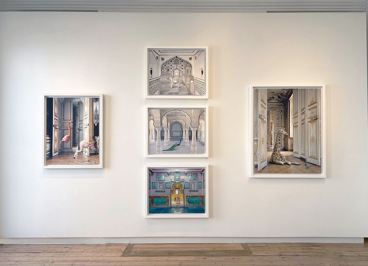Group Exhibition