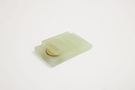 Compact 0.5g by Tianyi Sun contemporary artwork Mixed Media